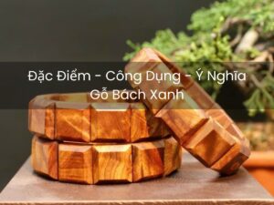 gỗ bách xanh